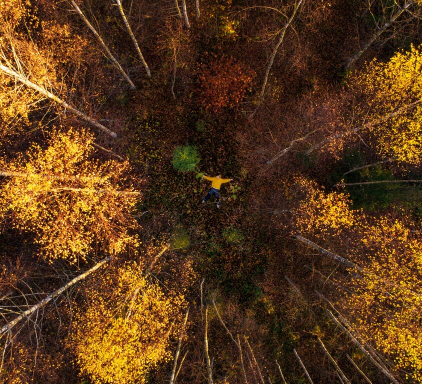 Herbst in Estland