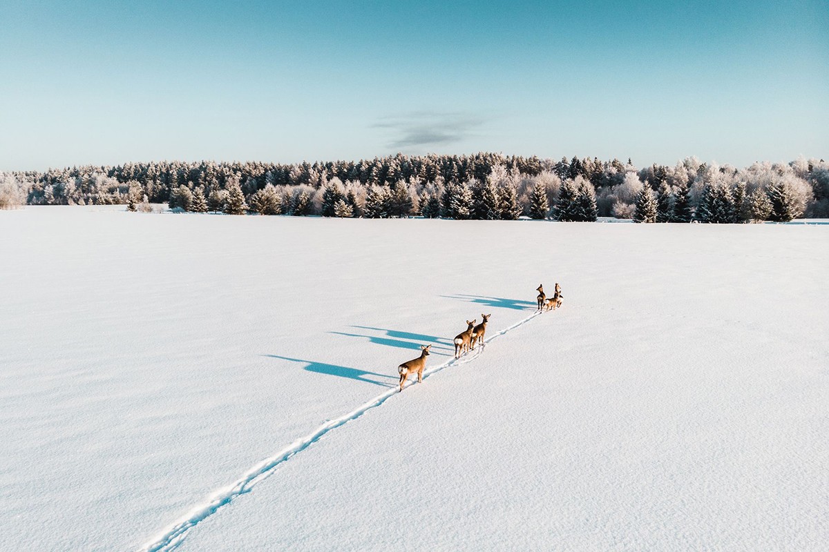 Estland 2025: Ein Blick voraus - Visit Estonia